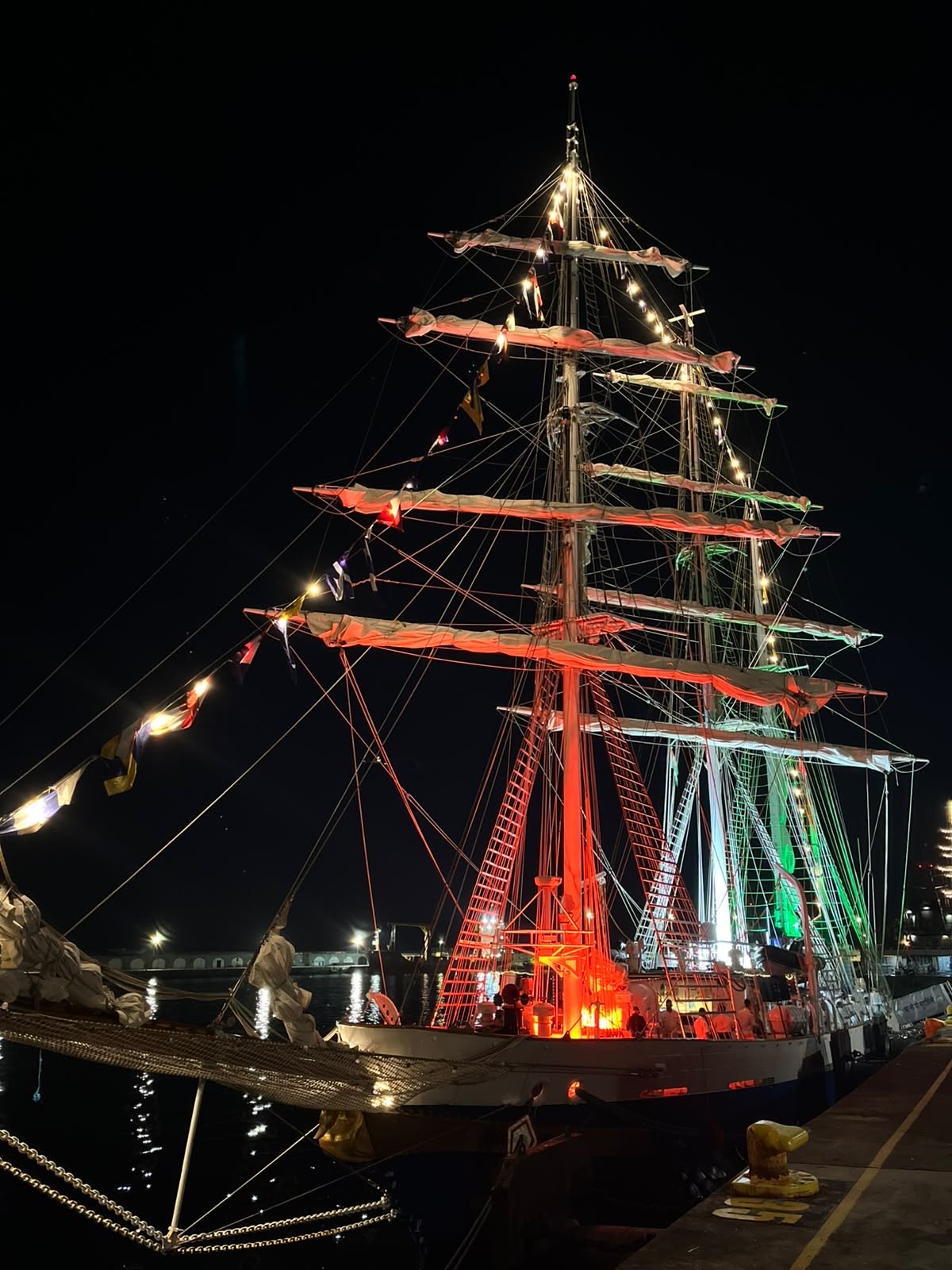 Indian naval ships reflect India's maritime presence at overseas ports on Independence Day: Navy