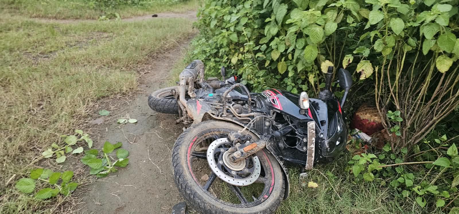 Odisha: Police foil theft bid; wanted history-sheeter shot in leg, two aides held
