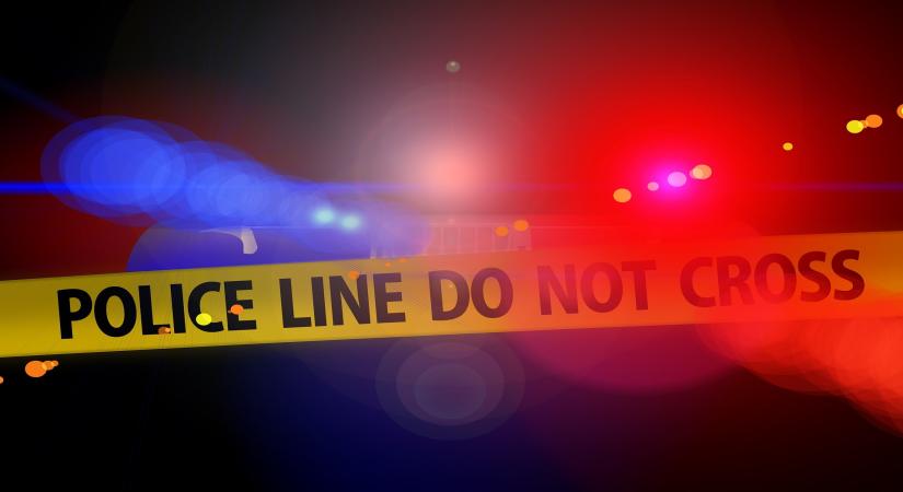 Servant robs elderly woman of jewellery and cash in Kolkata, attempts to kill her with pillow