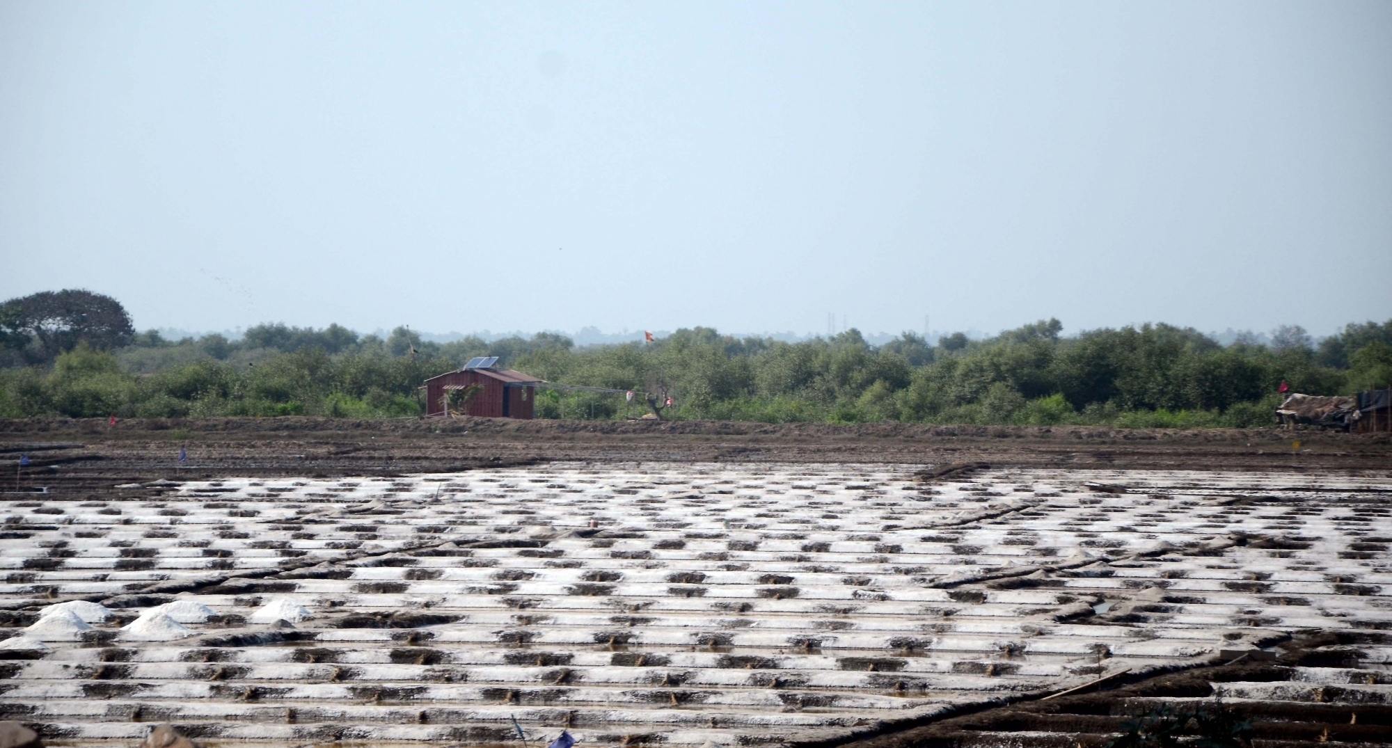 TN salt producers seek CM’s intervention to renew leases on government land
